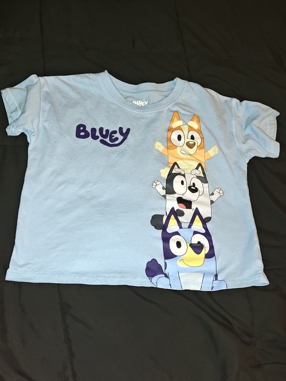 Disney Light Blue Bluey Stack Graphic Tee